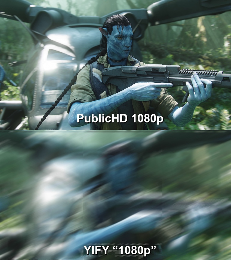 YIFY versus PublicHD