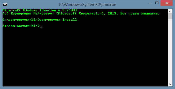 Установка службы scm-server