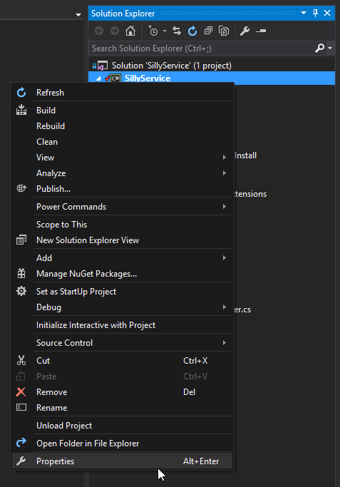 Visual Studio - Project Properties
