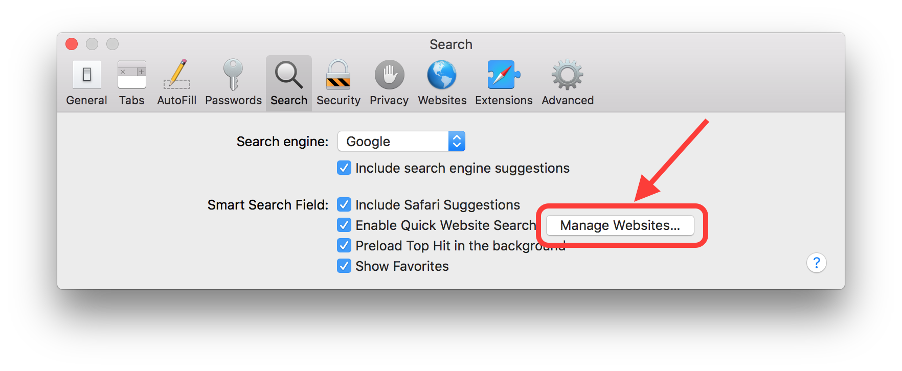 Safari Quick Website Search