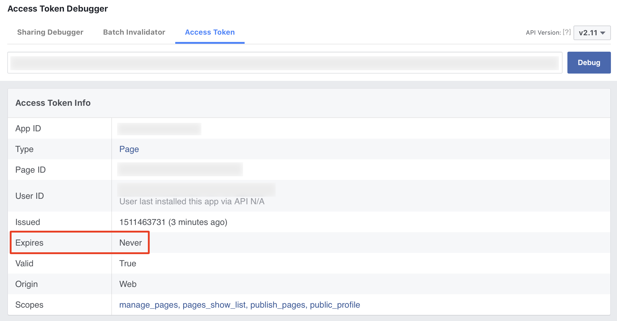 Facebook Page Access Token