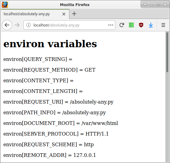 uWSGI environ variables