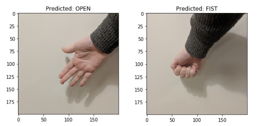 Palm prediction