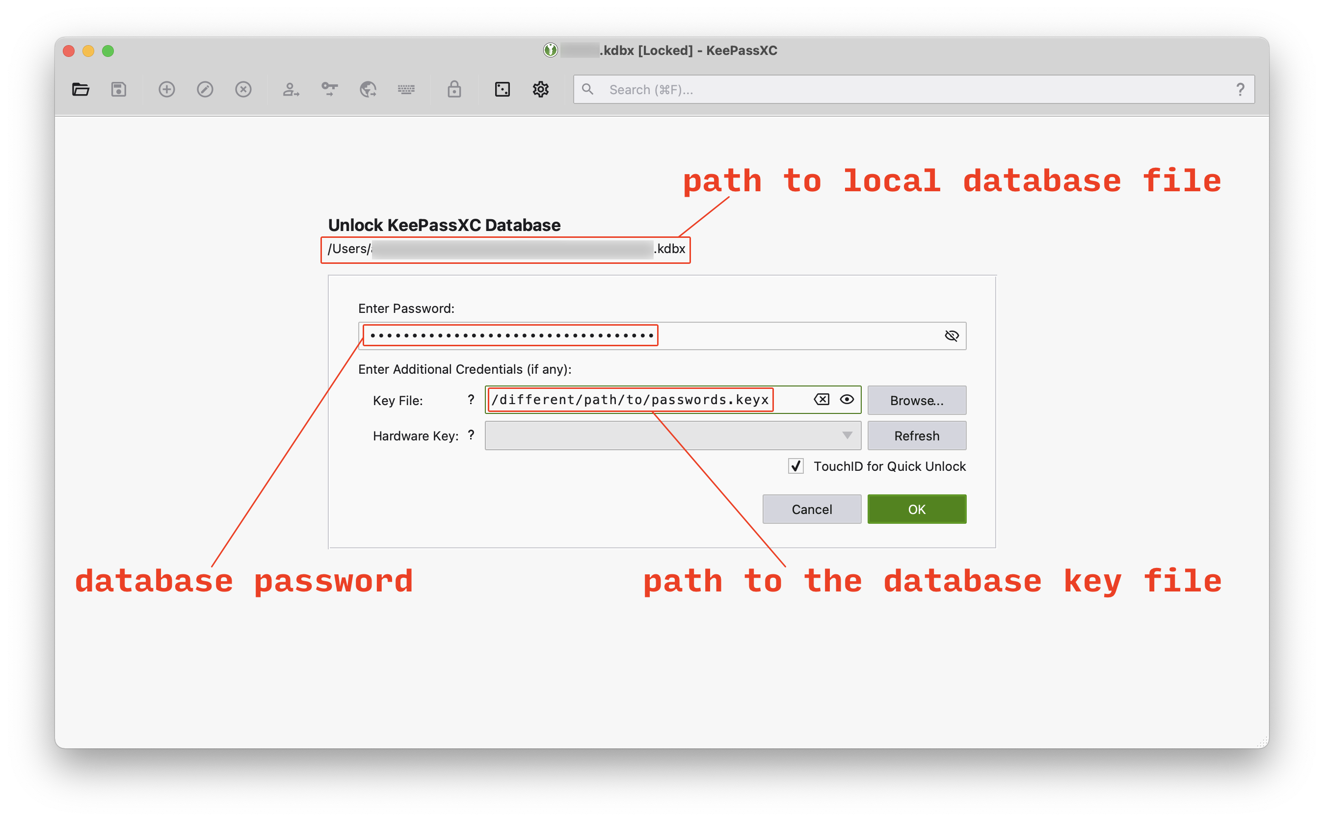 KeePass XC, opening the database