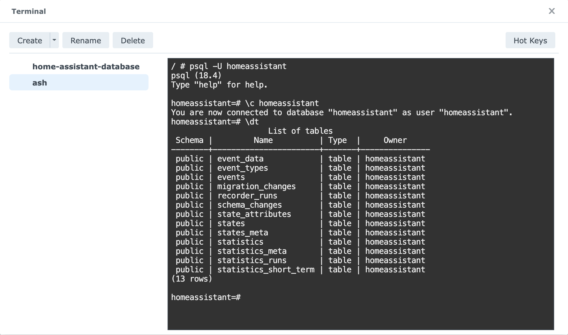 Synology Container Manager, terminal